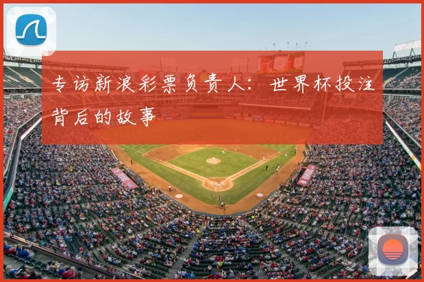 专访新浪彩票负责人：世界杯投注背后的故事