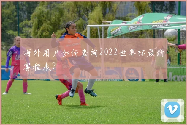 海外用户如何查询2022世界杯最新赛程表？