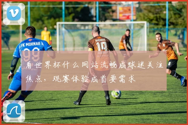 看世界杯什么网站流畅成球迷关注焦点,观赛体验成首要需求