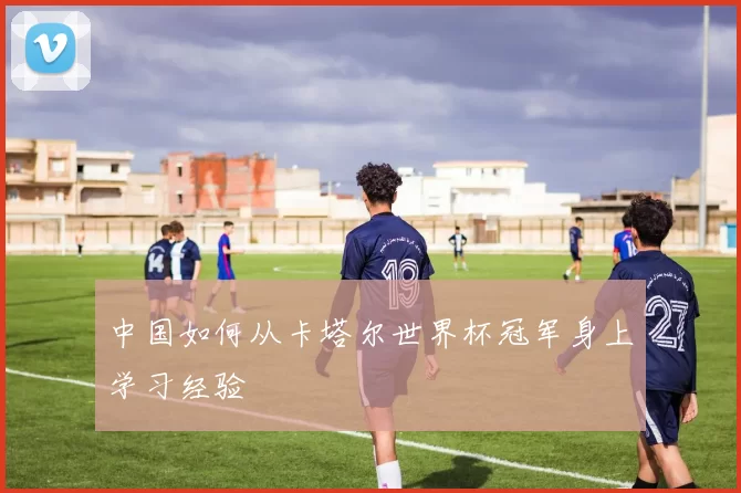 中国如何从卡塔尔世界杯冠军身上学习经验
