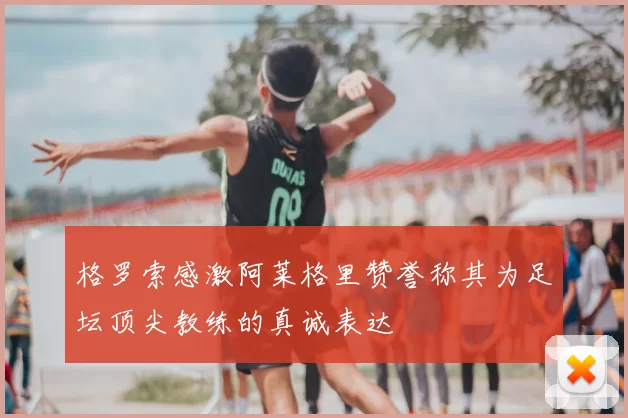 格罗索感激阿莱格里赞誉称其为足坛顶尖教练的真诚表达