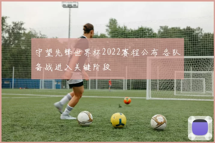 守望先锋世界杯2022赛程公布 各队备战进入关键阶段