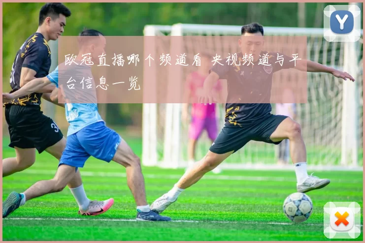 欧冠直播哪个频道看 央视频道与平台信息一览