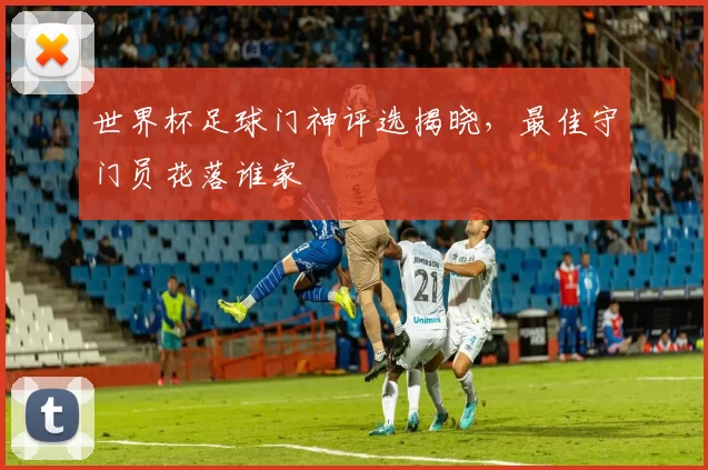 世界杯足球门神评选揭晓,最佳守门员花落谁家