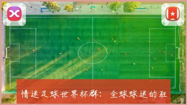 情迷足球世界杯群：全球球迷的狂热集结地