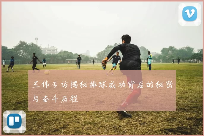 王伟专访揭秘排球成功背后的秘密与奋斗历程