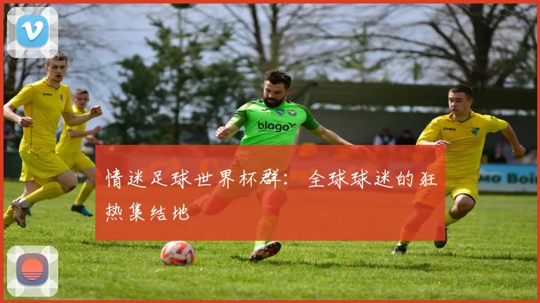 情迷足球世界杯群：全球球迷的狂热集结地
